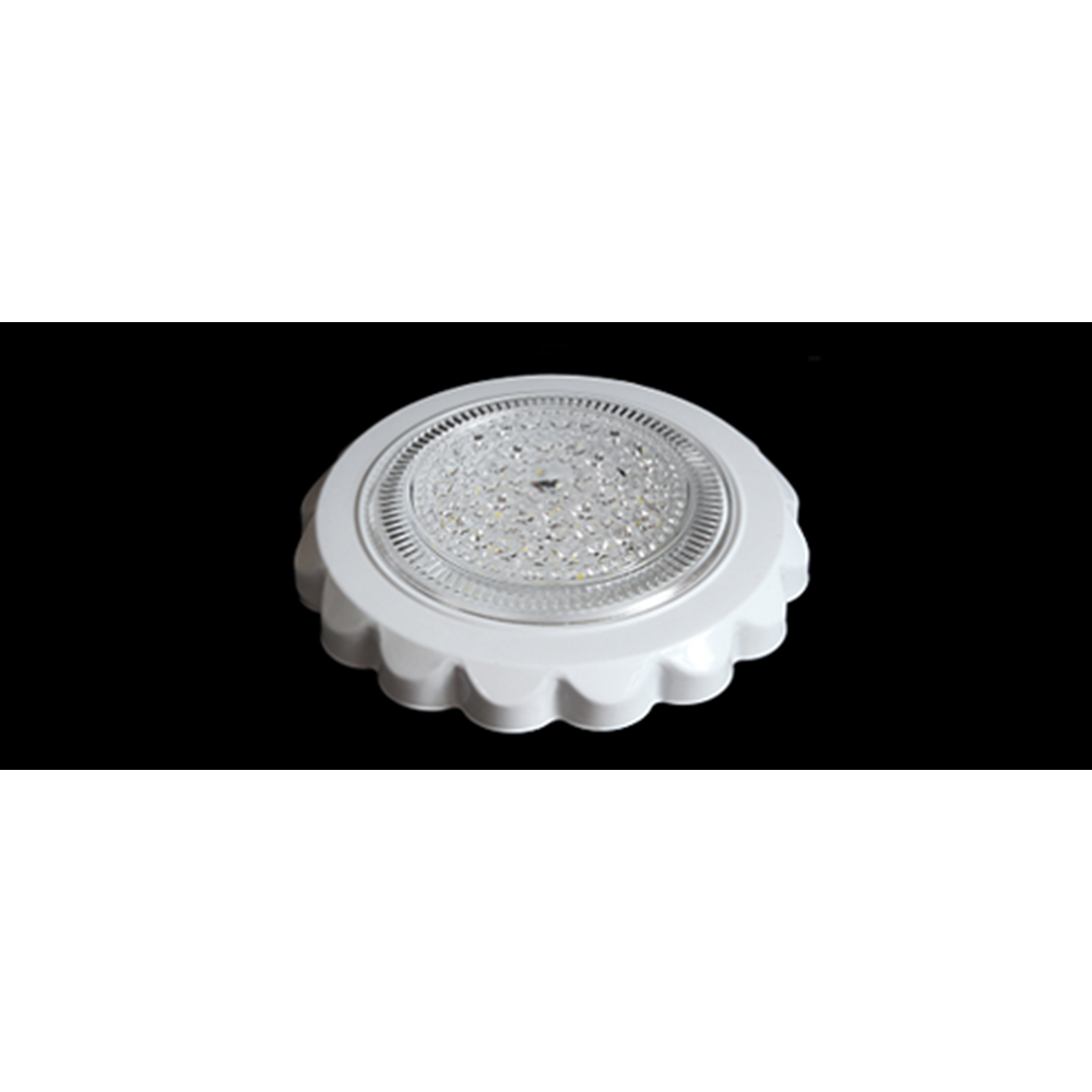 LED Light