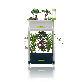 detail image1 Smart Grow