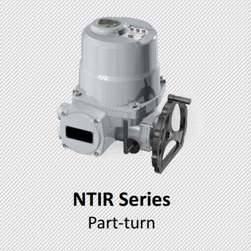 Electric Actuators
