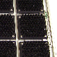 detail image1 Shoe Brush