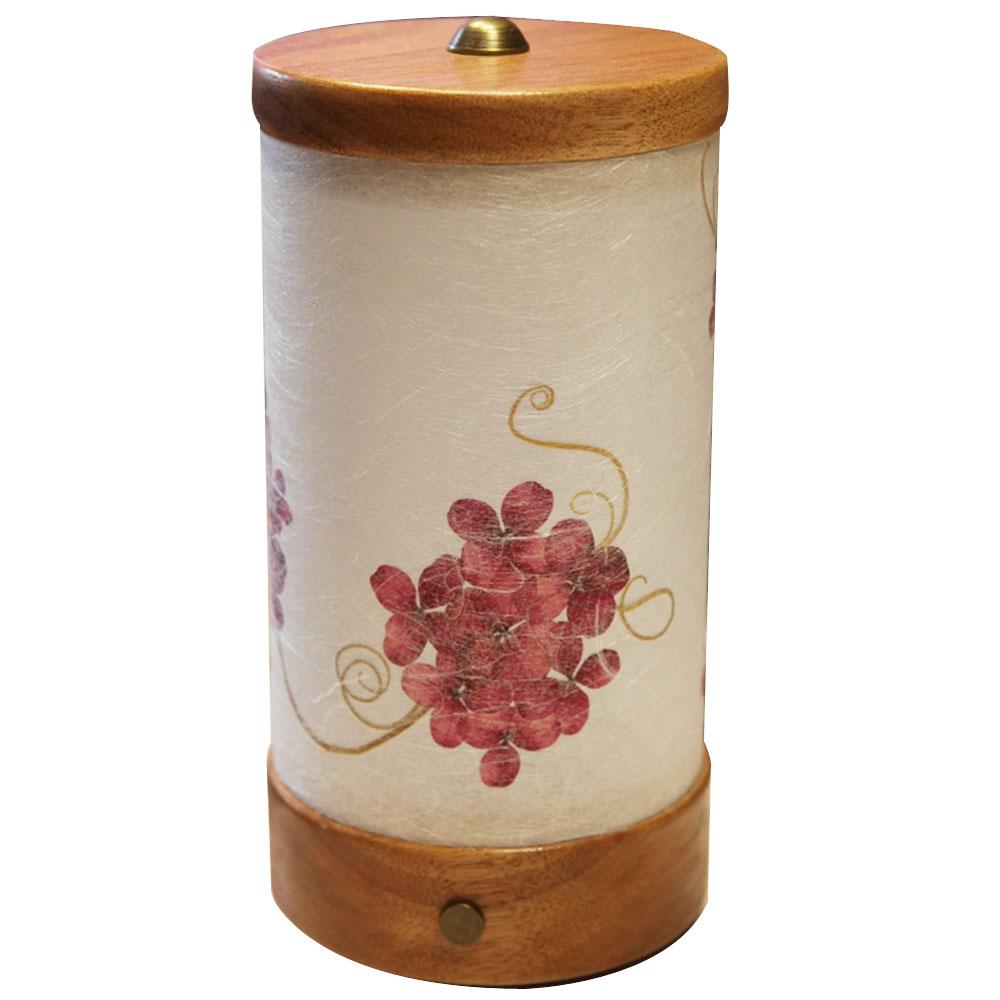 LAMP3