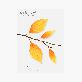 detail image3 Sticky Leaf - Birch