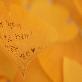 detail image3 Sticky Leaf - Ginkgo