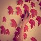 detail image2 Sticky Leaf - Maple