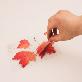 full image Sticky Leaf - Maple