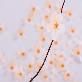 detail image3 Sticky Leaf - cherry blossom