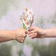 full image Sticky Leaf - Daisy