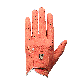 detail image2 Scotch golf glove