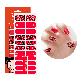 detail image5 Mango10 Adhesive Nail Polish by PUCCA Stickers Art Design