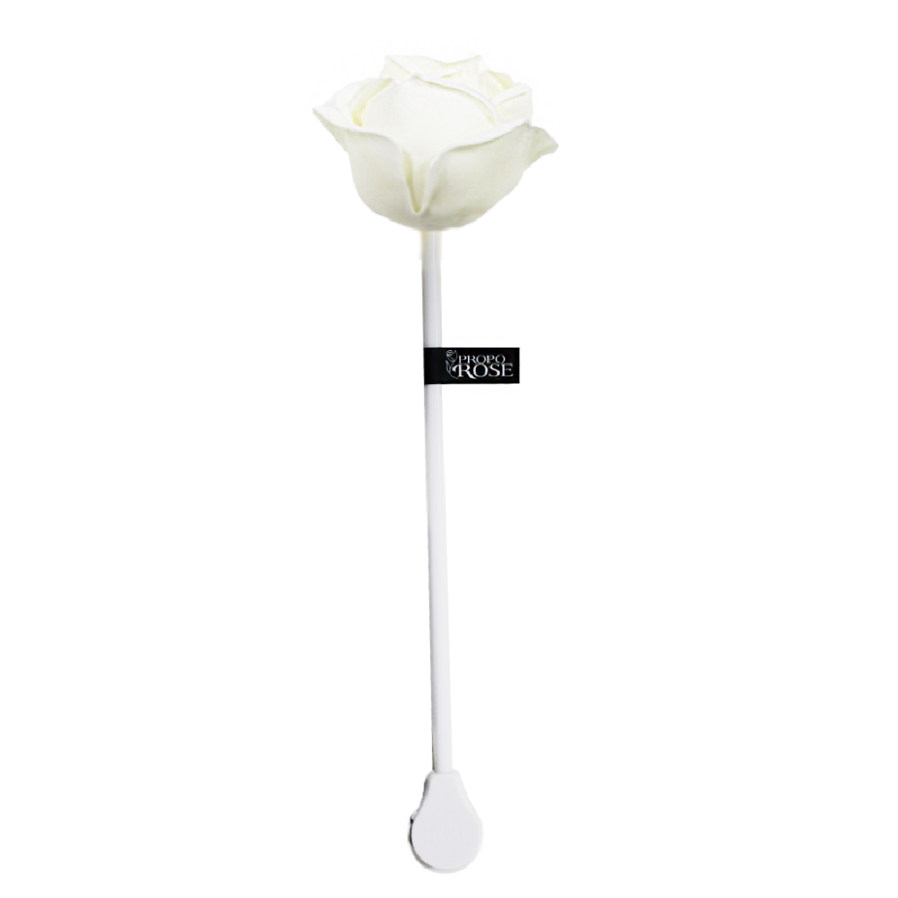 Love Rose LED LIGHT