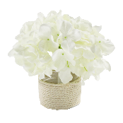 Hydrangea LED