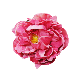 detail image1 Classy Peony Pen