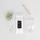 detail image5 Air Plants Tillandsia DIY Terrarium Kit " White Sand Beach " by Joinflower