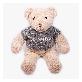 full image Maeum Bear