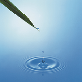 full image SOFC (Solid oxide fuel cell)