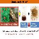 detail image1 Chunkisam 12% Powder 30g/PE bottle