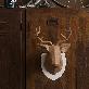 detail image2 stag head figuration