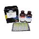 full image Bio kit PeroxichromeTM