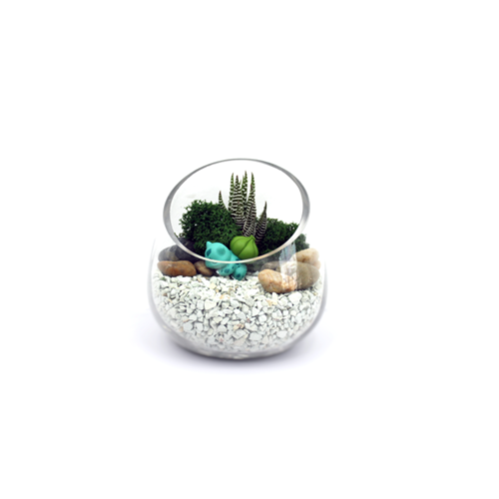 Zeolite 100% Natural (Made in Canada)