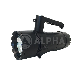 full image Search light