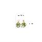 detail image5 Resin Craft Earring with Four Leaf Clover Dangle Real Lucky Clover Ear Rings - Square Type