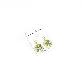 full image Resin Craft Earring with Four Leaf Clover Dangle Real Lucky Clover Ear Rings - Hexagon Type