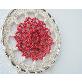 full image Carnation Dream Catcher