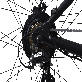 detail image5 Electric Bicycle Michael Blast GREASER