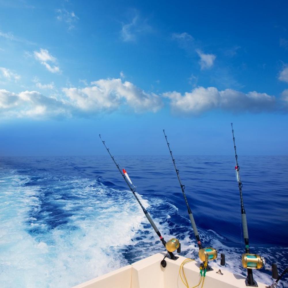 Fishing Hooks_Fly Hooks