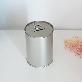 detail image1 Metal Coin bank / Piggy bank/ Saving Box
