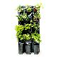 full image STACKO-POT (Vertical farm)
