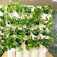 detail image1 STACKO-POT (Vertical farm)
