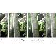 detail image2 ANYSHEET Laminating Film A4 (100ct) for documents, Photos, Books, Clear Coating Matte