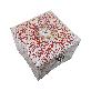 detail image5 Nacre Inlay Mother of Pearl Storage Chest Wooden Box Crane with Pin Tree Design Jewelry Mirror Box