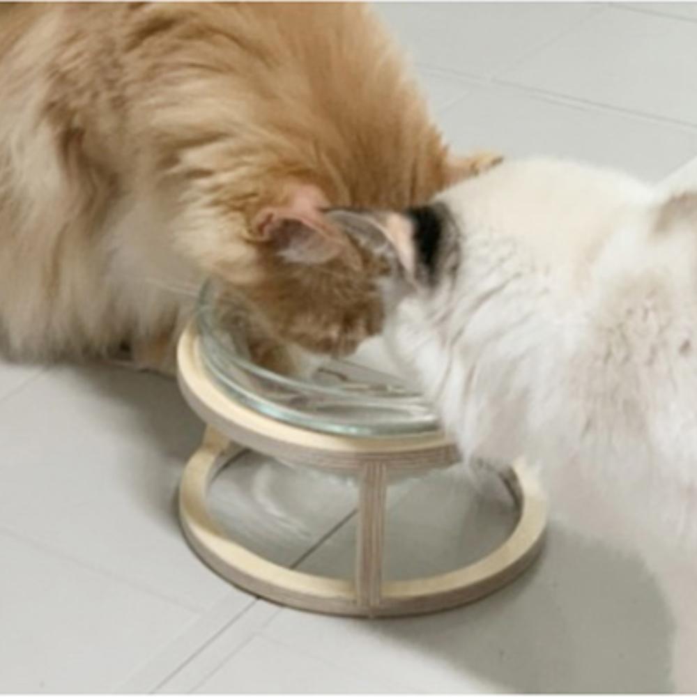 Elevated water bowl