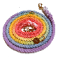 full image Dog Rainbow 6 in 1 Rope Dog Leash How to use hands-free walking with both hands
