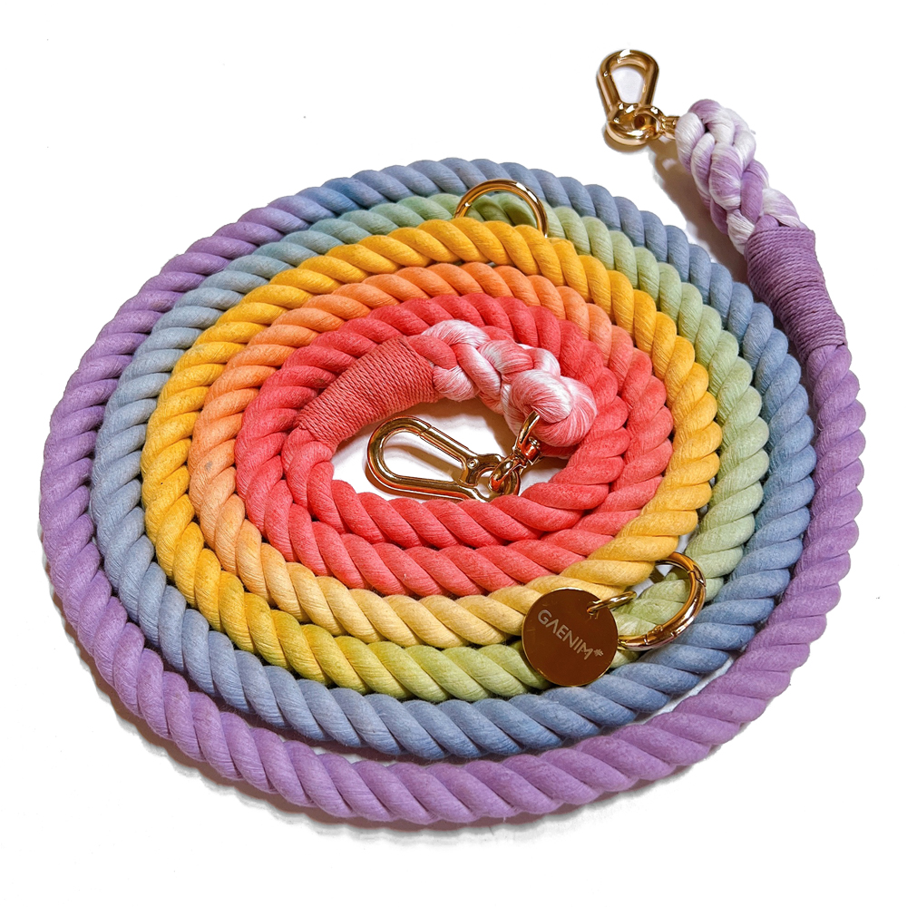 Dog Rainbow 6 in 1 Rope Dog Leash How to use hands-free walking with both hands