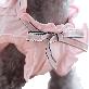 detail image3 Tint Frill blouses (Pink / S size)