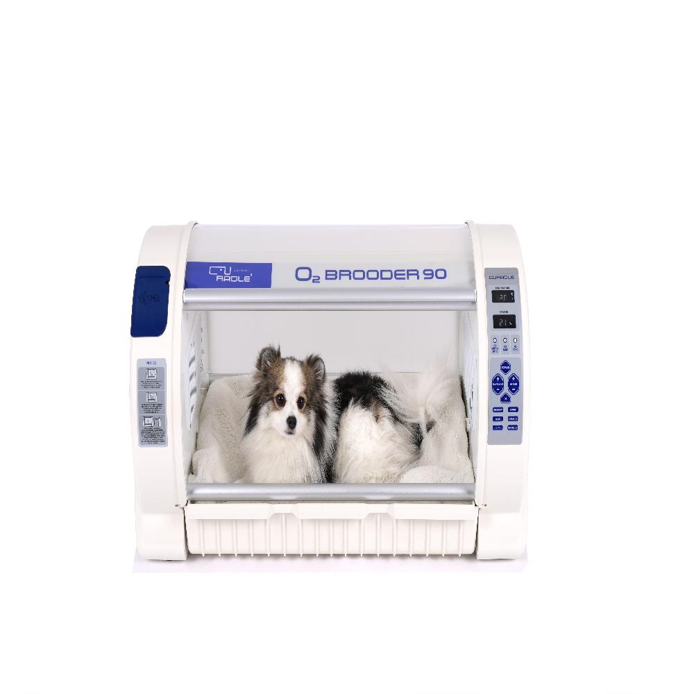 PET O2 BROODER