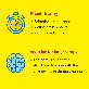 detail image4 Binaree Tissue Clearing Rapid Solution Brain