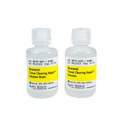 Binaree Tissue Clearing Rapid Solution Brain