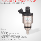 detail image1 LPG CNG injector for Heavy Trucks (H2100)