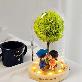 detail image3 LED Sweet Glass Dome Mood Light Special Day Gift
