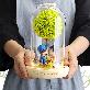 detail image4 LED Sweet Glass Dome Mood Light Special Day Gift