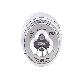full image Ultraviolet/Infrared Flame Detector CS-UIE-C20P