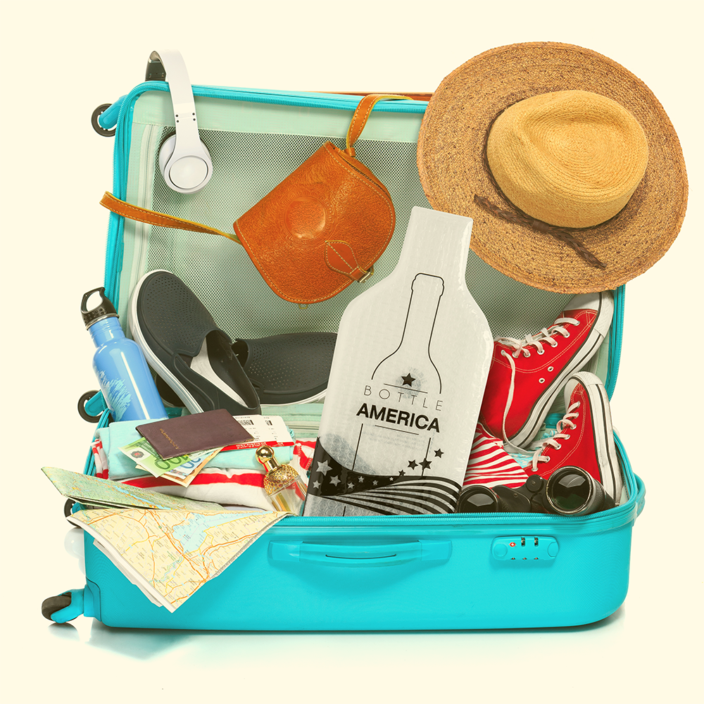 Bottle America Classic (Clear) | Jimmy the Fox Wine Travel Bag