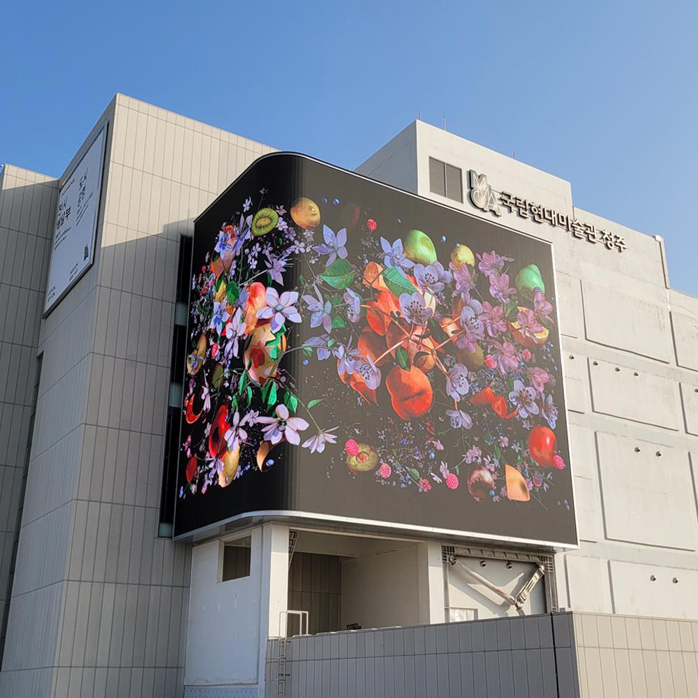 LED DISPLAY