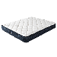 detail image3 Air Bed with Air Control Capsule
