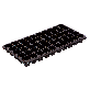 detail image2 PLUG TRAY FOR AGRICULTURE  (Seeding Tray)