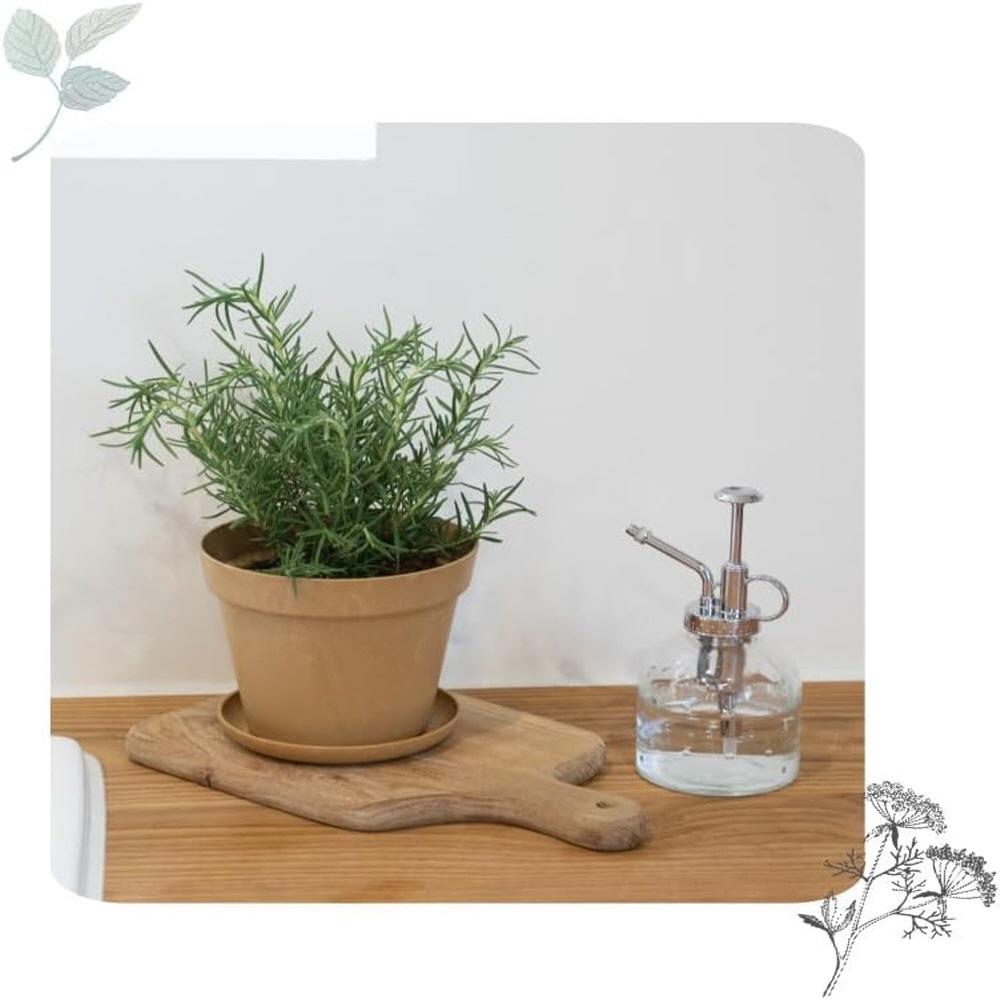 Freefactory Flower Plant Pot with Drainage Holes and Saucer Tray(Medium/Brown)